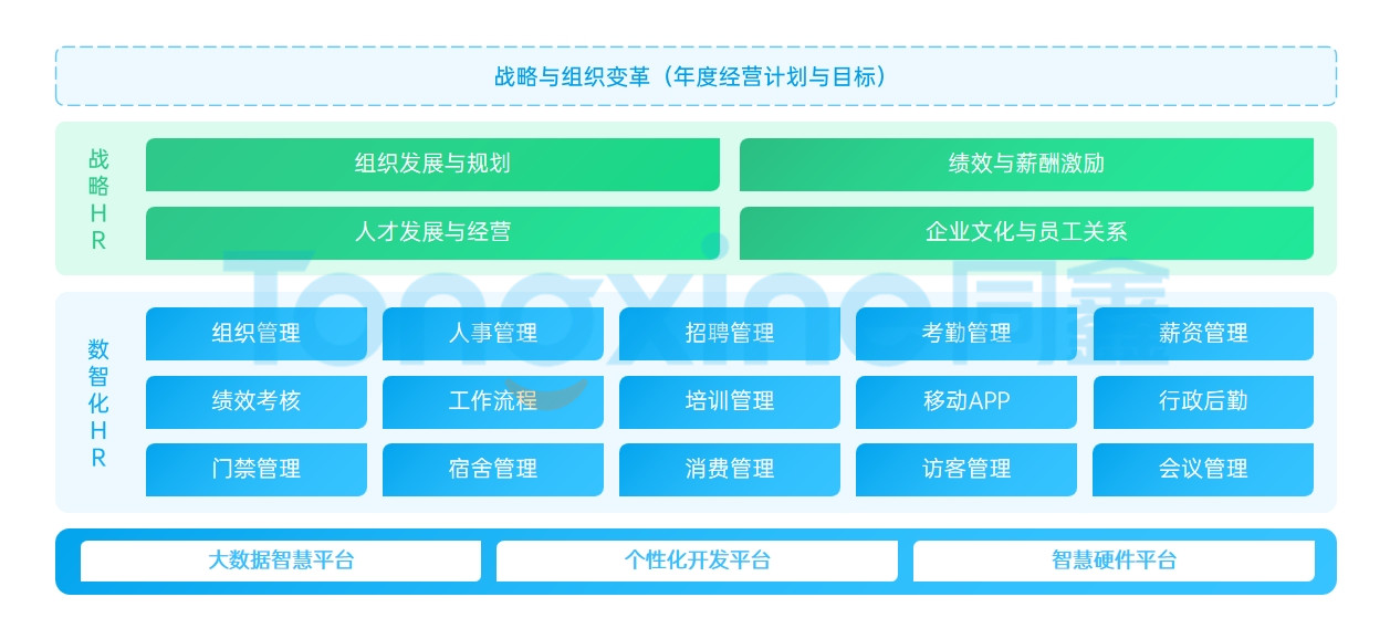 大企業(yè)人力資源管理軟件